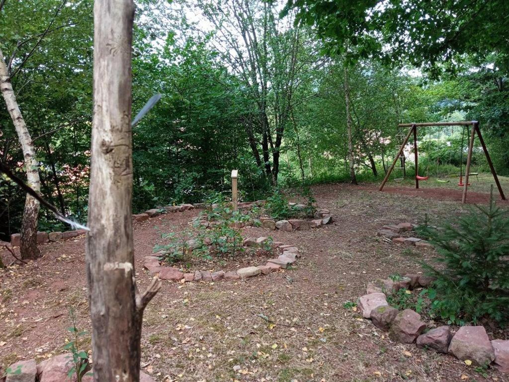Fotografia z galérie ubytovania Spacieux Gîte Vosgien 3 Épis pour 4 Pers, Randonnées et VTT, Environnement Calme et Verdoyant - FR-1-589-413 v destinácii Le Saulcy