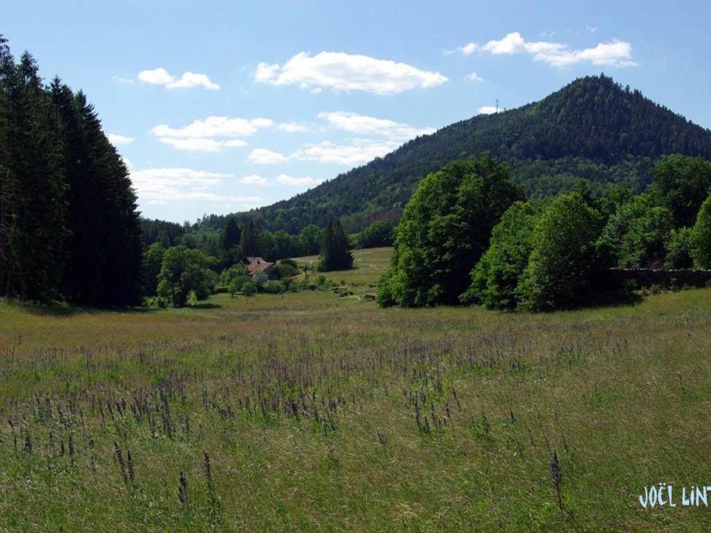 Fotografia z galérie ubytovania Spacieux Gîte Vosgien 3 Épis pour 4 Pers, Randonnées et VTT, Environnement Calme et Verdoyant - FR-1-589-413 v destinácii Le Saulcy