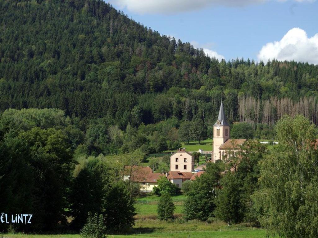 Fotografia z galérie ubytovania Spacieux Gîte Vosgien 3 Épis pour 4 Pers, Randonnées et VTT, Environnement Calme et Verdoyant - FR-1-589-413 v destinácii Le Saulcy