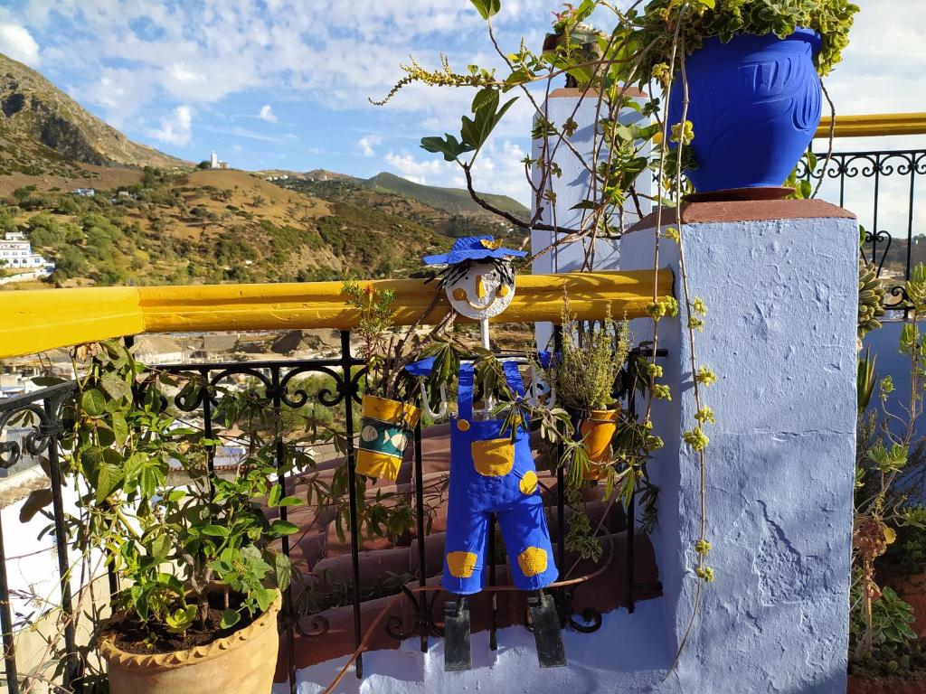 a blue wall with potted plants on a balcony at Hotel Gernika in Chefchaouene