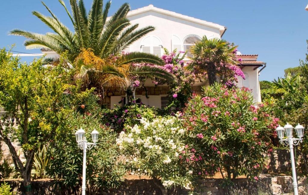 a house with flowers in front of it at Apartments and rooms by the sea Molunat, Dubrovnik - 17143 in Gruda