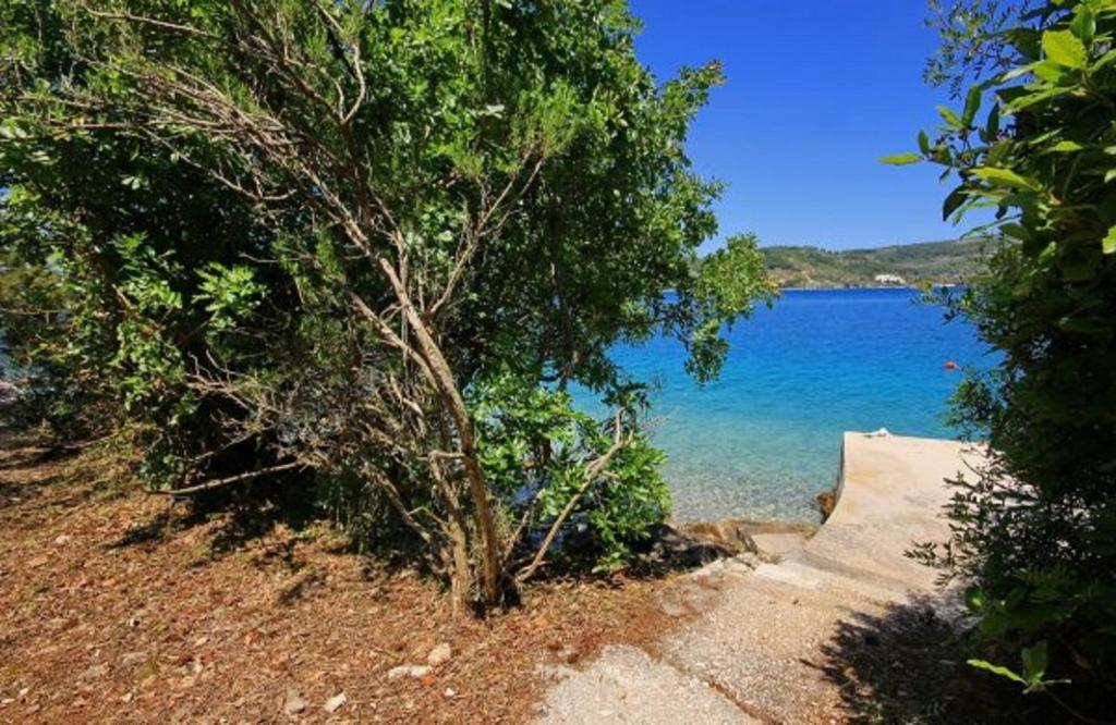 a tree on the shore of a body of water at Seaside holiday house Cove Gabrica, Korcula - 17195 in Vela Luka