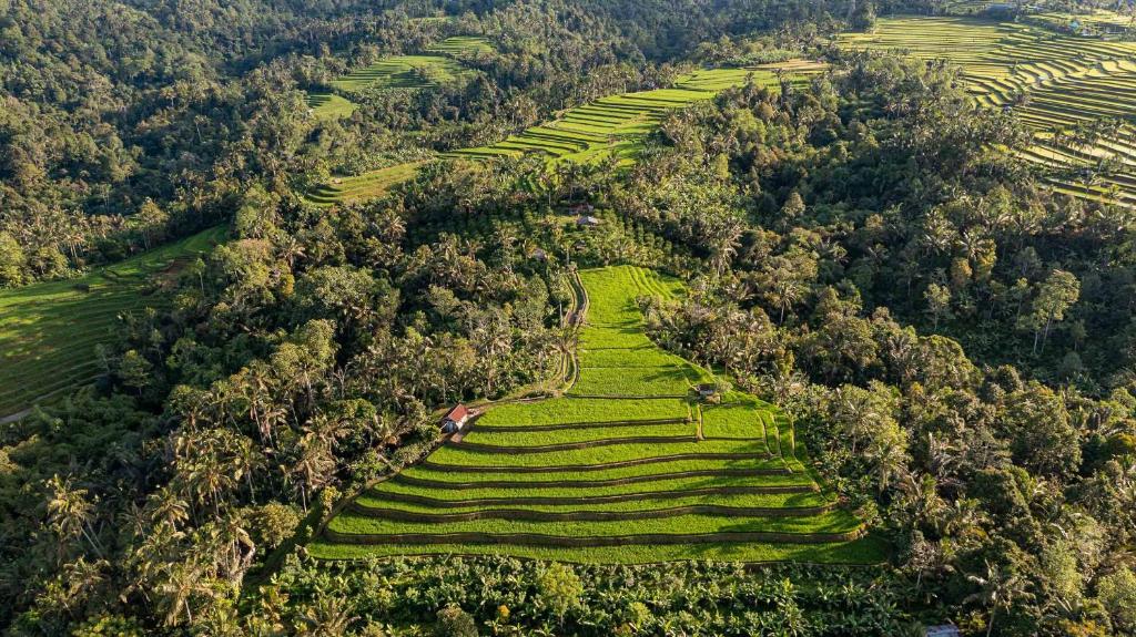 uma vista aérea de um campo de arroz numa encosta em Sanda Plantation Hideaway em Sanda