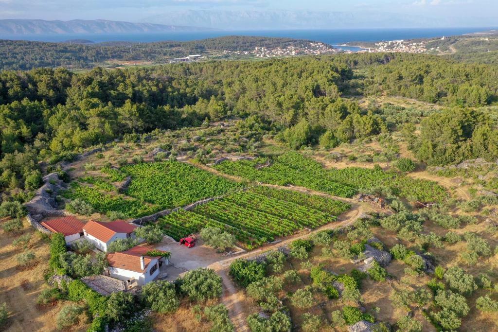 eine Luftansicht eines Betriebs mit einem Haus in der Unterkunft Holiday house with a parking space Pitve, Hvar - 17397 in Jelsa