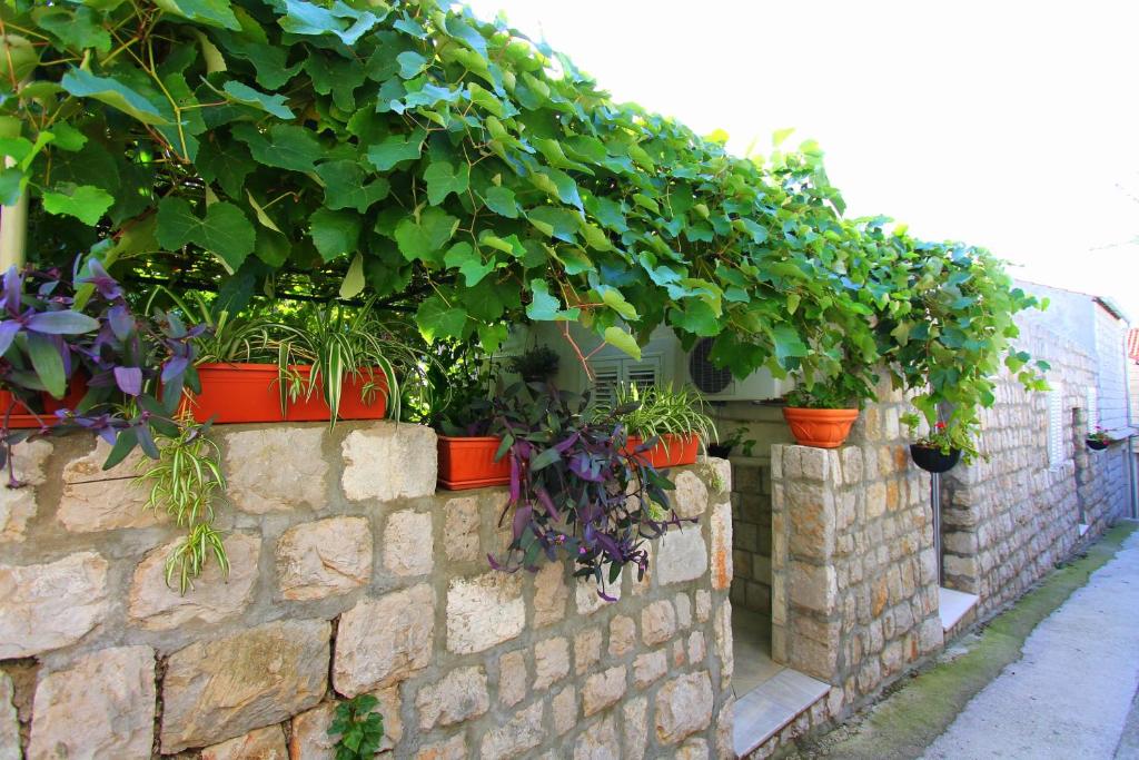 a brick wall with potted plants on it at Apartments by the sea Lopud, Elafiti - 17200 in Lopud