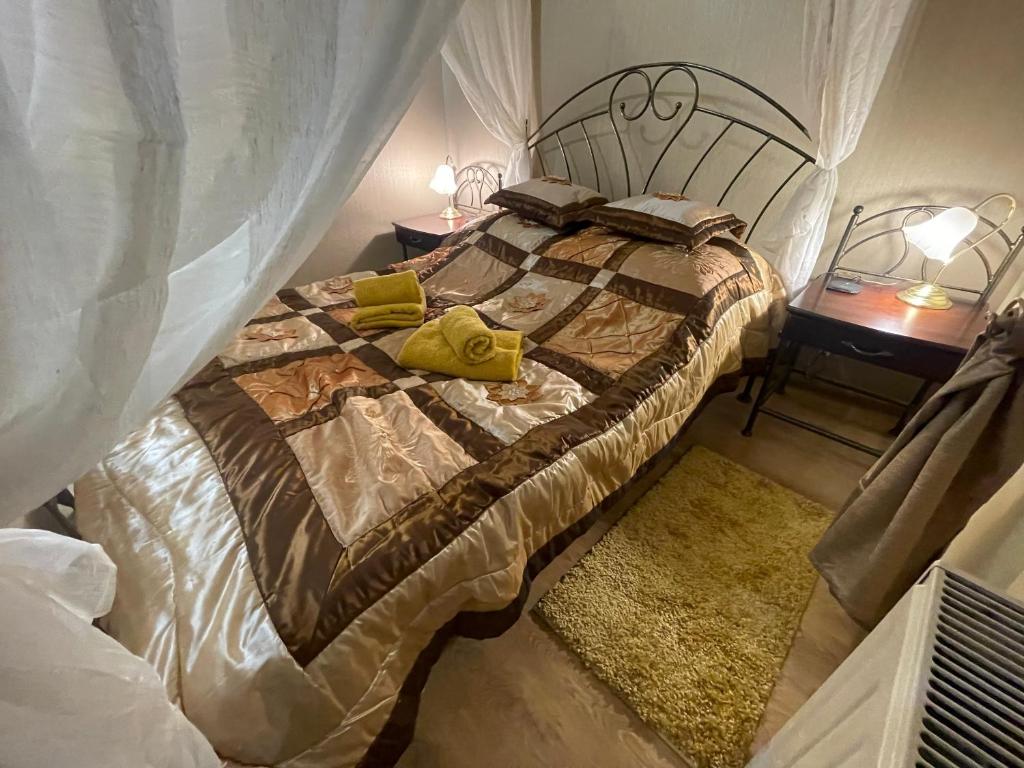 een slaapkamer met een groot bed met een baldakijn bij Apartamenty Konopnicka in Bydgoszcz