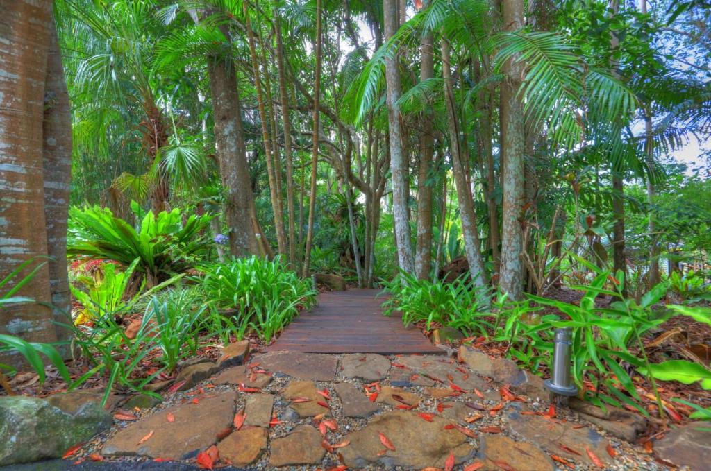 a wooden path through a forest with palm trees at Lovestone Cottages Montville in Montville