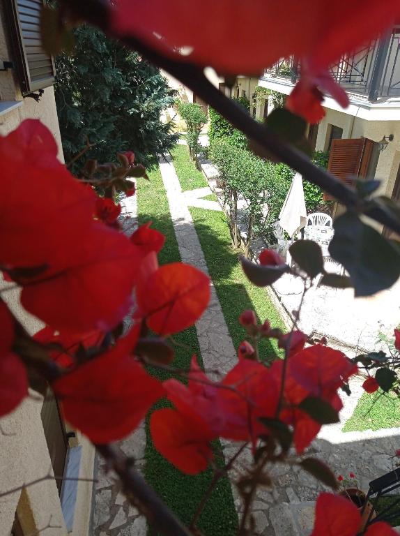Vonkajšia záhrada v ubytovaní Raptis Aparthotel Sivota