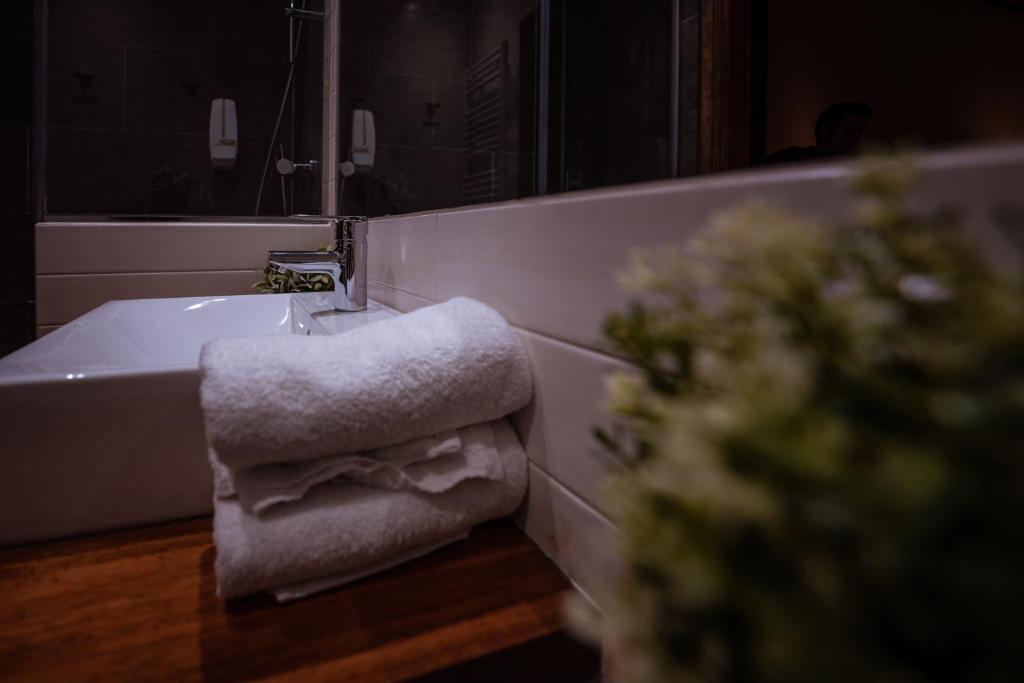 Postel nebo postele na pokoji v ubytování Hotel Mas de Xaxas