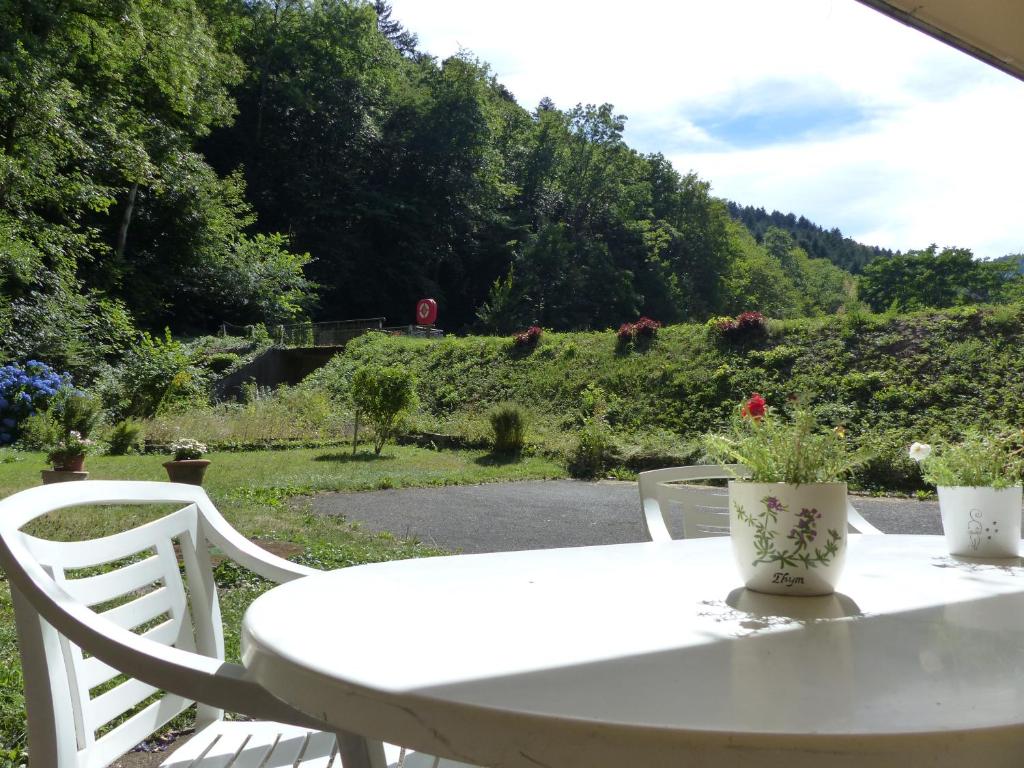 una mesa y sillas blancas con vistas al jardín en Appartement entier rénové dans un écrin de verdure, en Thann