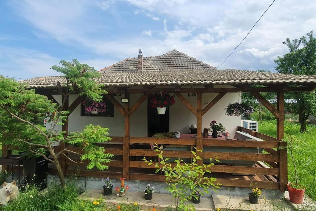 TOMESCU House - The welcoming house in an apple orchard