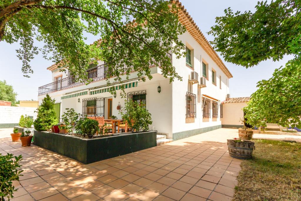 Casa Rural Las Olivitas Alquiler completo