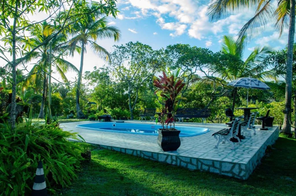 a swimming pool in a resort with palm trees at Nossa Senhora Aparecida in Marau