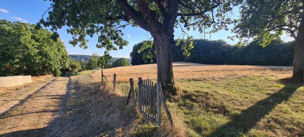 une clôture à côté d'un arbre dans un champ dans l'établissement Ferienwohnung "Tecklenburger Augenblicke", à Tecklembourg