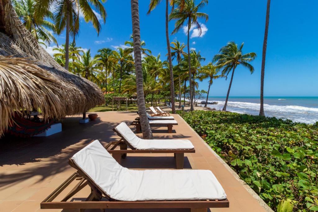 a row of chaise lounges and palm trees on a beach at Hotel Chiniu in Palomino