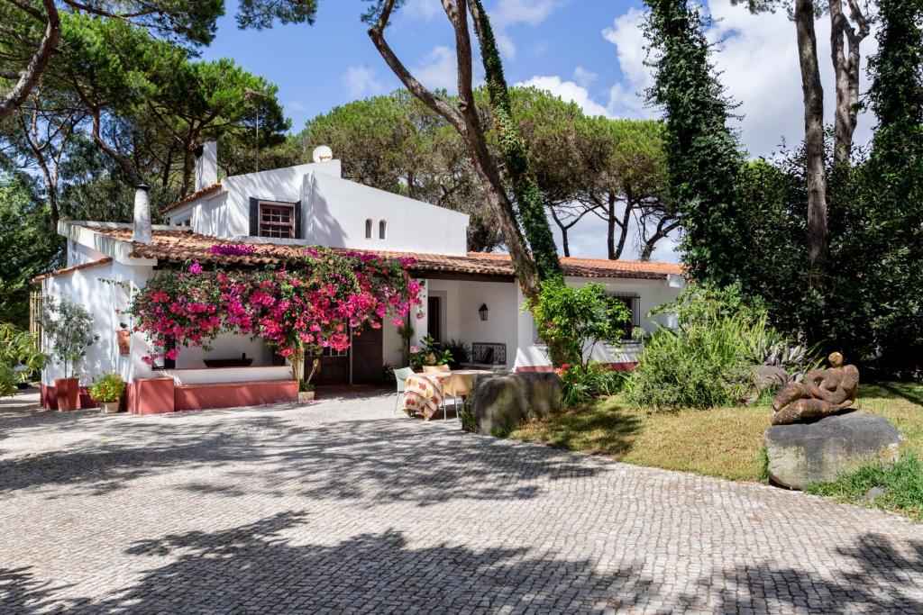 une maison blanche avec des fleurs roses sur elle dans l'établissement JOIVY Quinta do Matinho Quente, à Chelreira