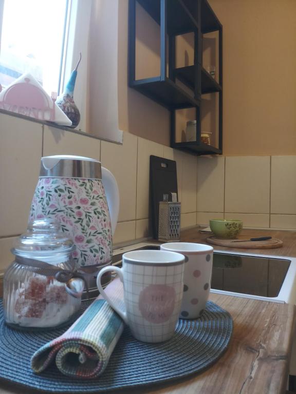 Stan u srcu Kruševca - Housity