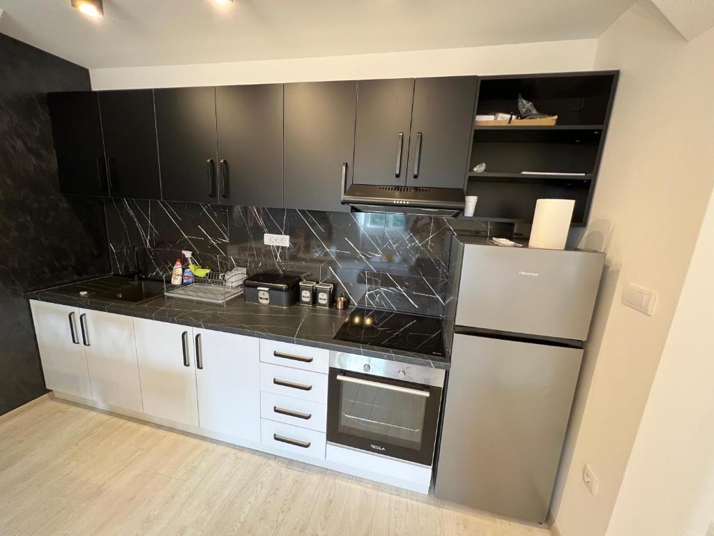 Kuchyň nebo kuchyňský kout v ubytování Lux Apartman Rudnik