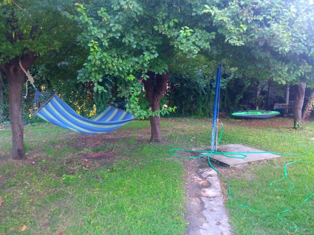 Zahrada ubytování Basilio's Studios