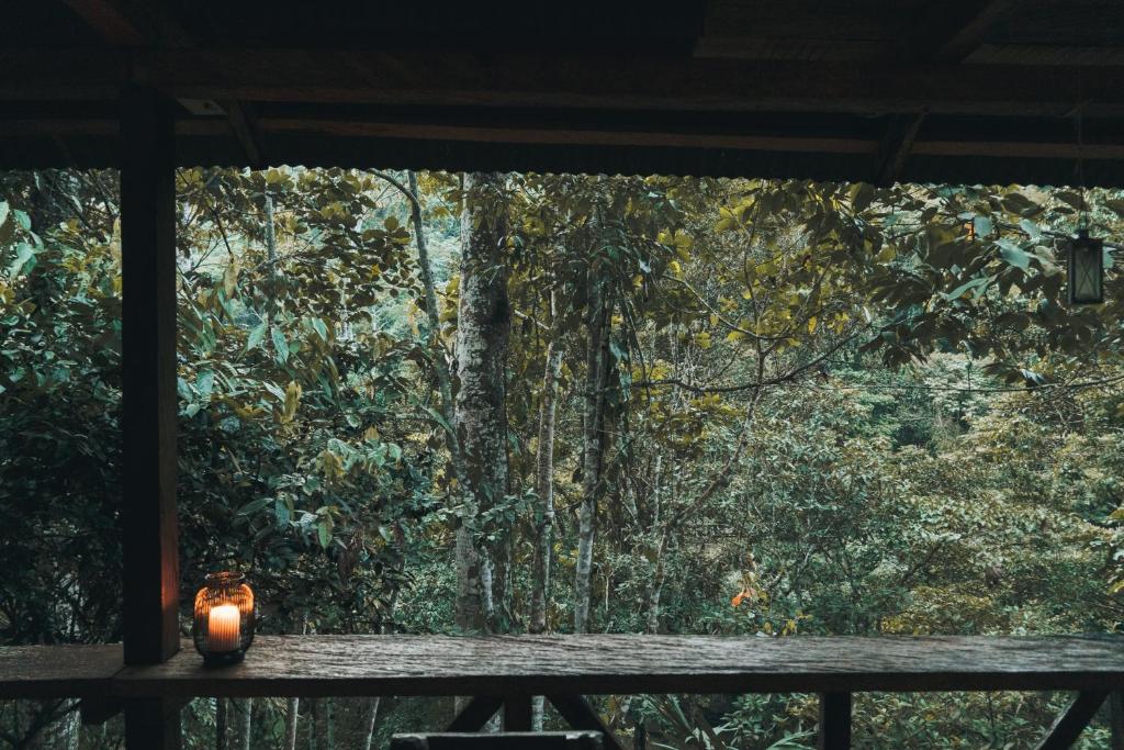 Fotografie z fotogalerie ubytování El Tigrillo Rio Claro by Los Colores Ecoparque v destinaci Doradal