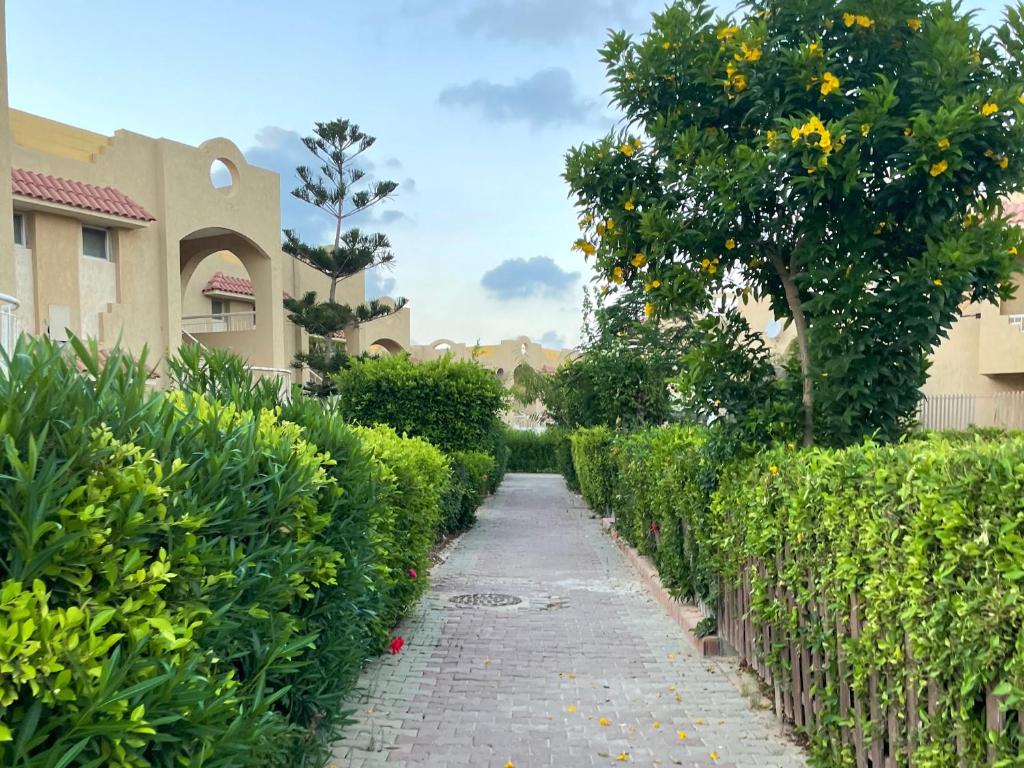 um caminho através de um jardim com árvores e arbustos em 52H Green leaves Village, families & couples only em Dawwār Abū Duray‘ah ‘Abd al Karīm
