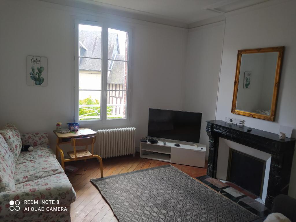 a living room with a fireplace and a television at Maison de maître, un coin de verdure en hyper centre in Lisieux