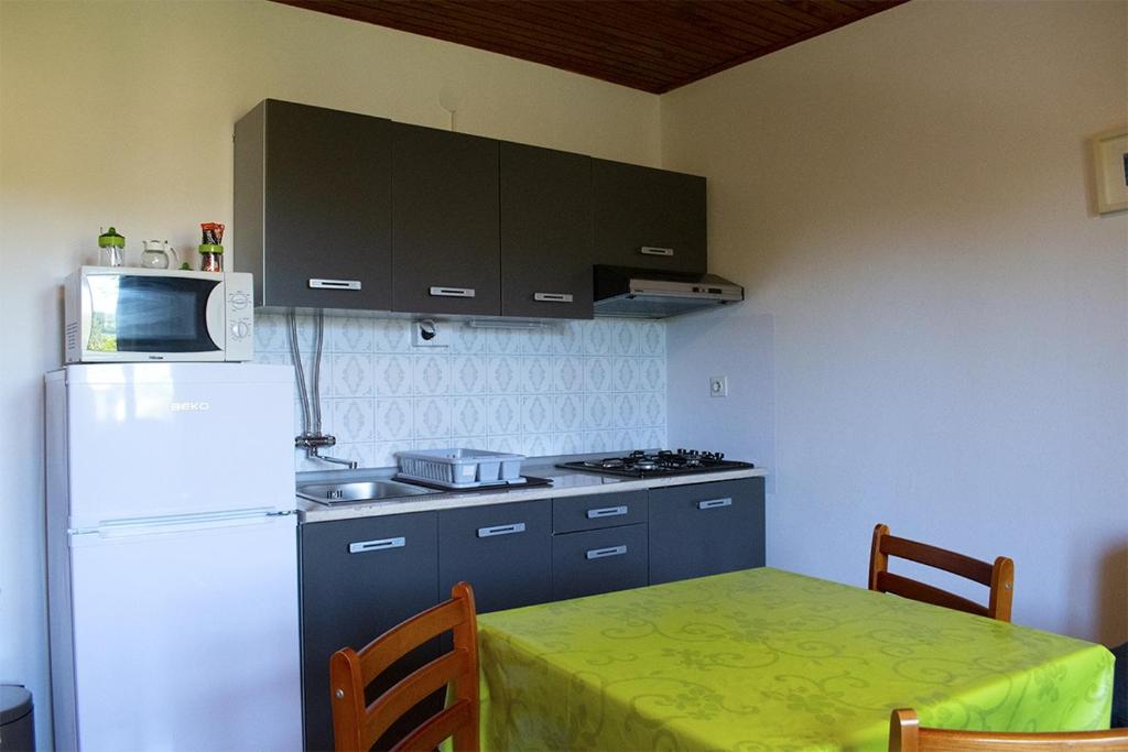 Kuchyňa alebo kuchynka v ubytovaní Apartments with a parking space Artatore, Losinj - 17591