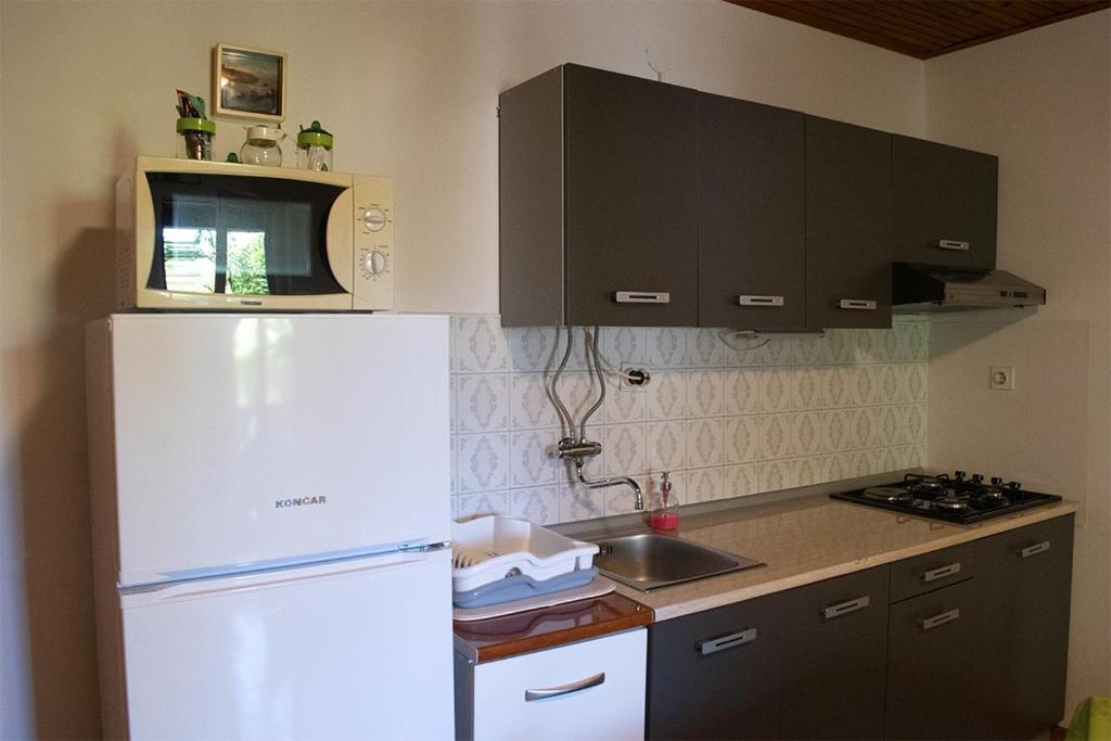 Kuchyňa alebo kuchynka v ubytovaní Apartments with a parking space Artatore, Losinj - 17591