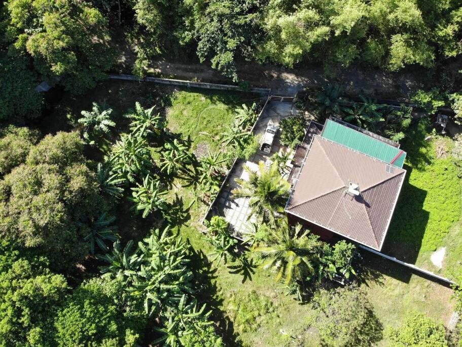 A Spacious and Serene Fully-Furnished Home