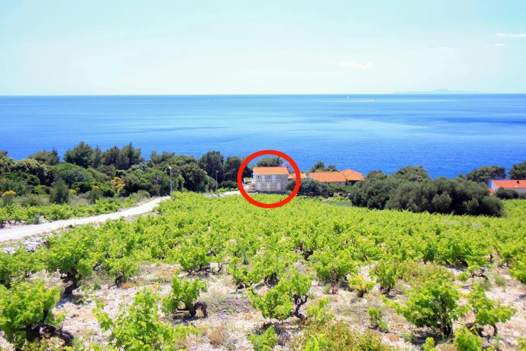 Príroda v okolí apartmánu