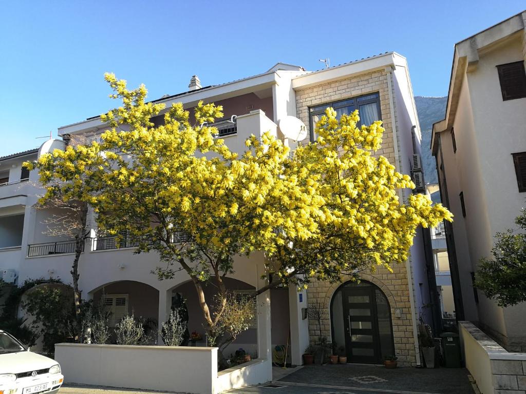 un arbre jaune devant une maison dans l'établissement Apartments and rooms with parking space Makarska - 18106, à Makarska