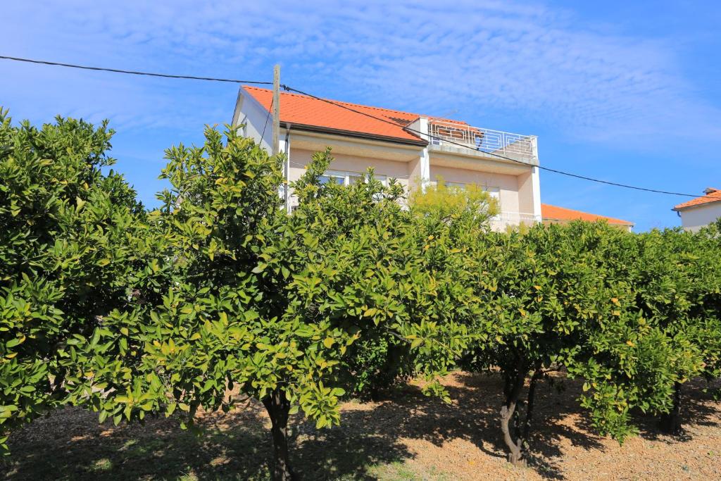 Vonkajšia záhrada v ubytovaní Apartments with a parking space Trogir - 18116