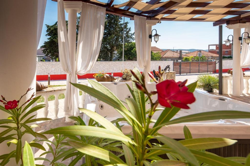 Zahrada ubytování Luxury villa with a swimming pool Turanj, Biograd - 18216
