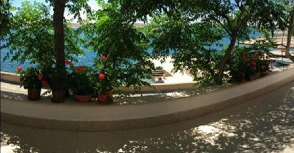 Zahrada ubytování Apartments by the sea Kustici, Pag - 18248