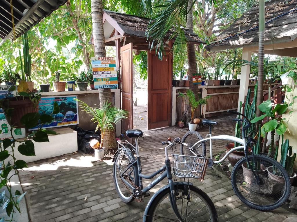 dos bicicletas estacionadas fuera de una casa con plantas en Mangga homestay Gili air, en Gili Air