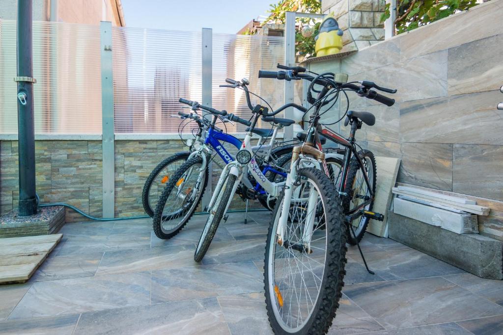 Jazda na bicykli v okolí ubytovania Apartments with parking spaces Vir - 18517