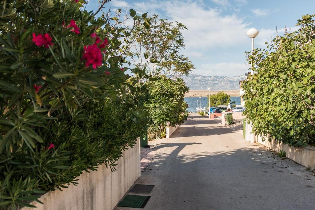 Príroda v okolí apartmánu