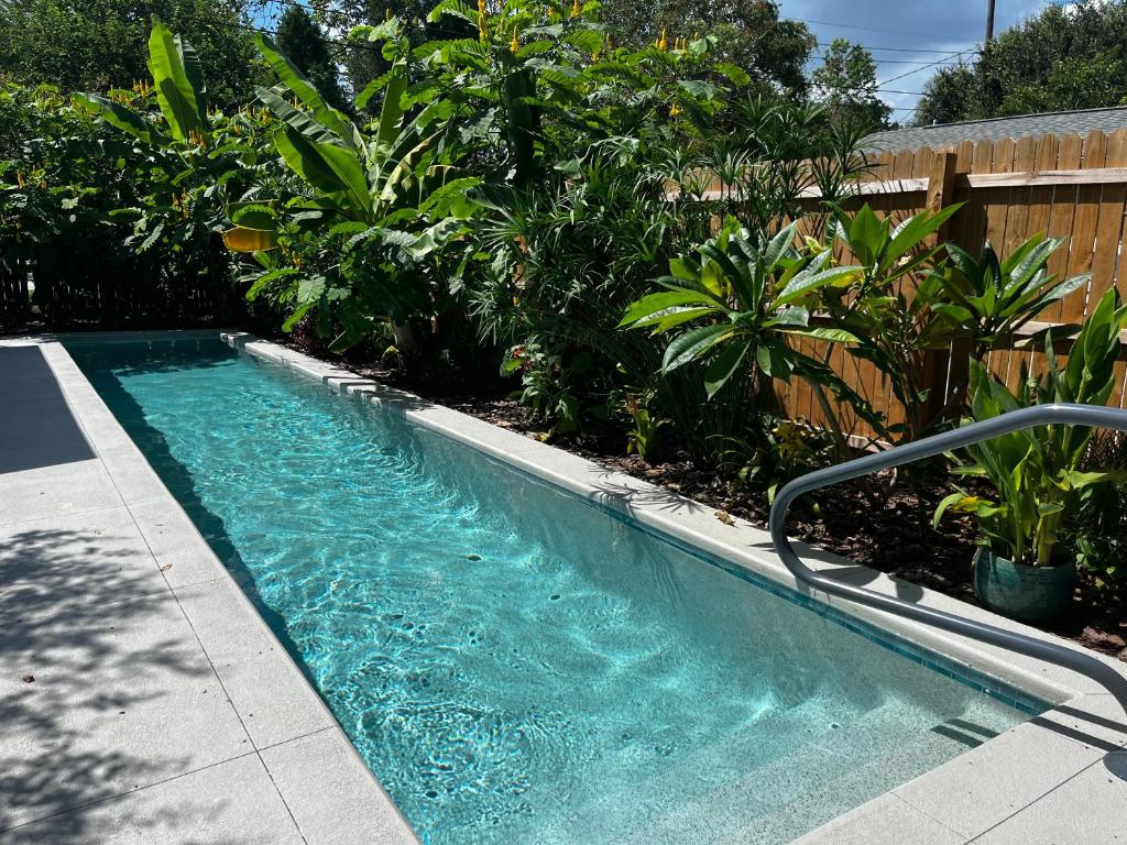 a small swimming pool in a yard with plants at Hollingsworth Guest House With Pool in Lakeland