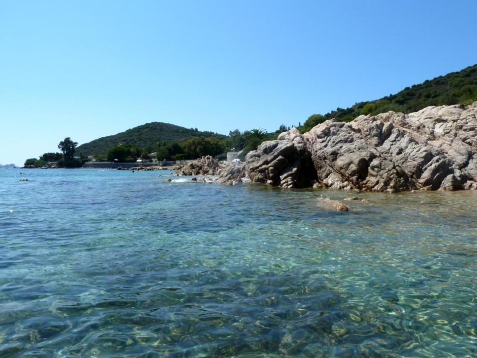 Príroda v okolí apartmánu