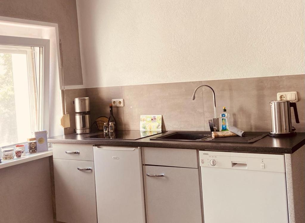 eine Küche mit einer Spüle und einer Arbeitsplatte in der Unterkunft Ferienzimmer am Berzdorfer See Görlitz OT Tauchritz in Görlitz