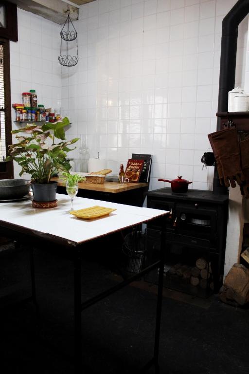 a kitchen with a table with a plant on it at Eau Berges in Vicdessos