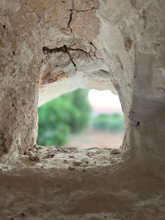 Fotografia z galérie ubytovania Trullo Moi v destinácii Ostuni