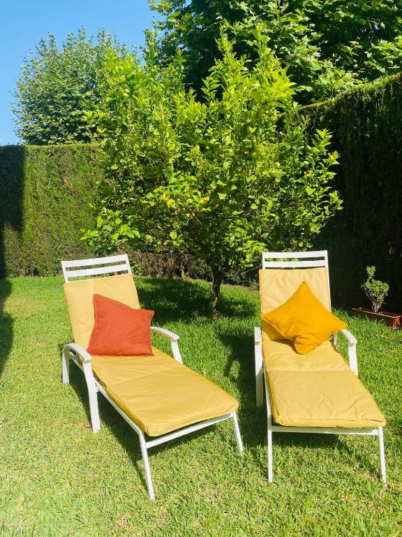 Zahrada ubytování Soleado Albir