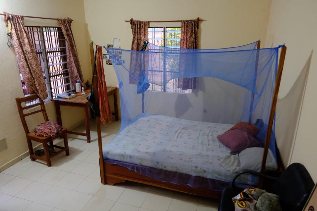 sypialnia z łóżkiem z moskitierą w obiekcie Studio tout équipé au sein de l'ONG Okouabo w mieście Parakou