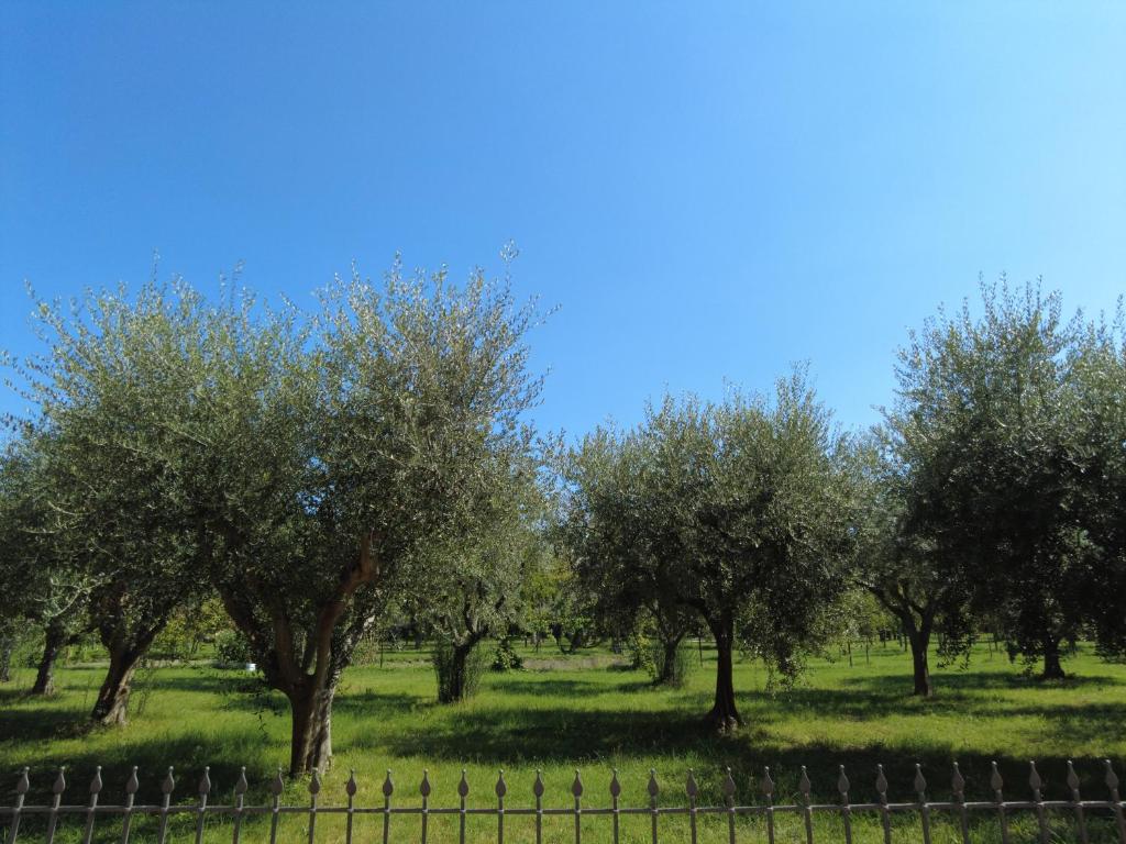 Maison Boutique Al Redentore - 11