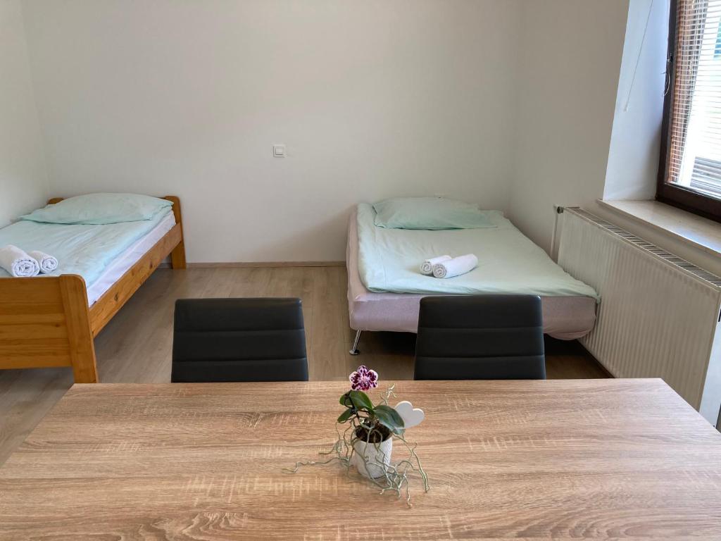 Postel nebo postele na pokoji v ubytování Apartment Vrtacnik