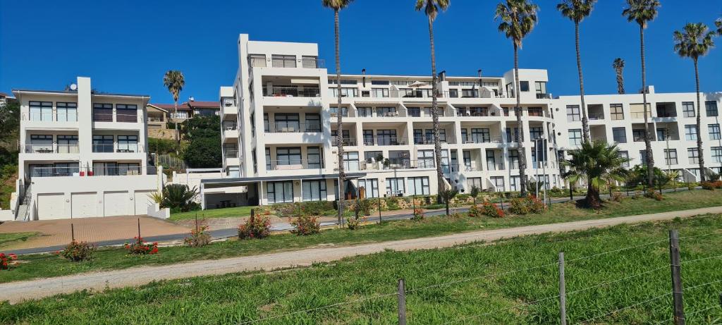 Santos 49 - Image 18