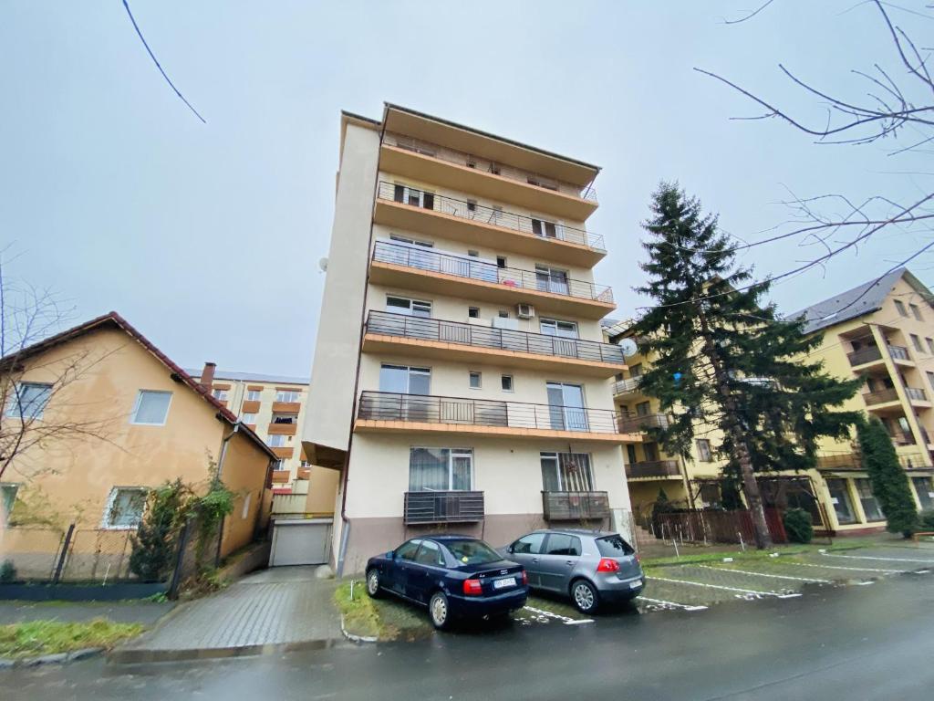 Charming Flat in Bistrita close to the center