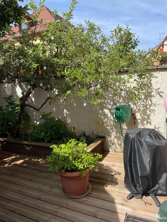 Le gîte de Sabina - Colmar – photo 43