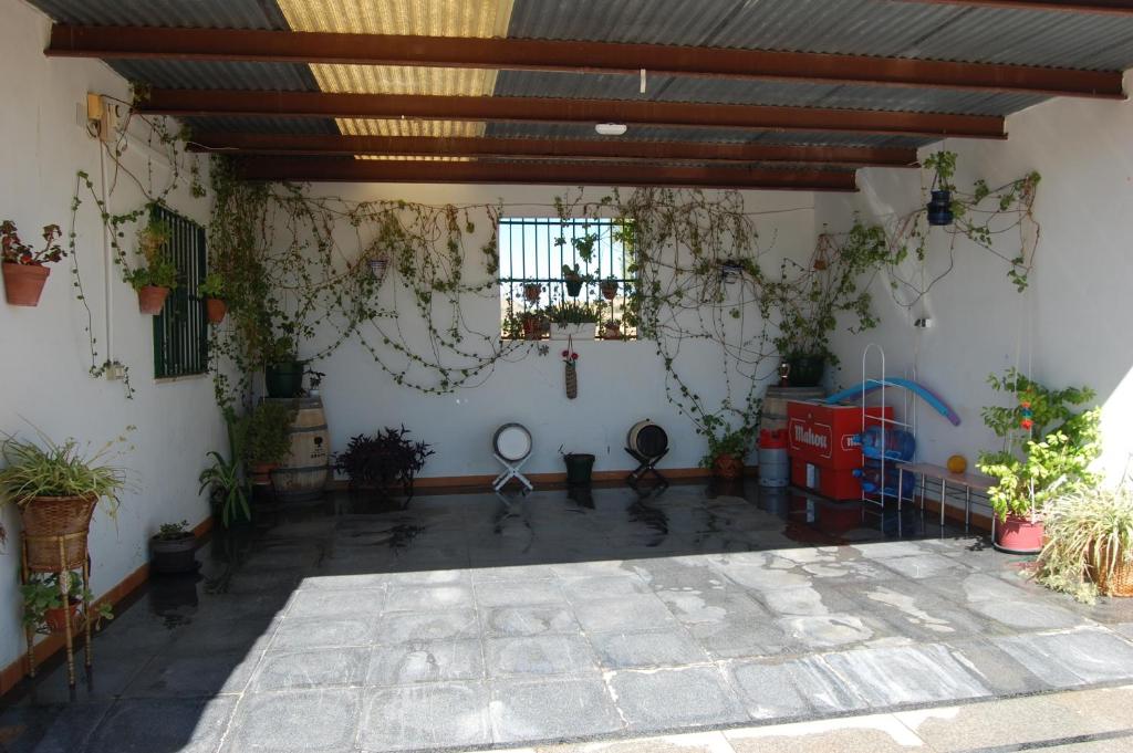 Zahrada ubytování Casa Rural Consuelo